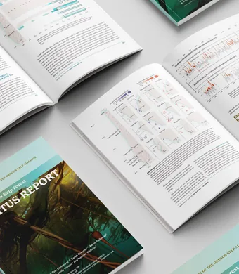 Maps for the 2024 Oregon Kelp Alliance annual report.